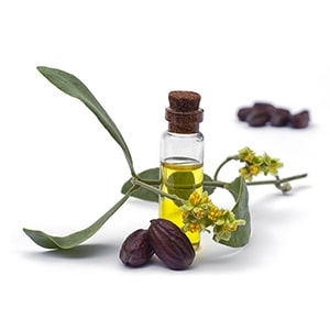 a small bottle of jojoba oil with some of jojoba beans and a few leaves. used for beeskin beeswax wraps. some beans are shown in the background a little blurry.