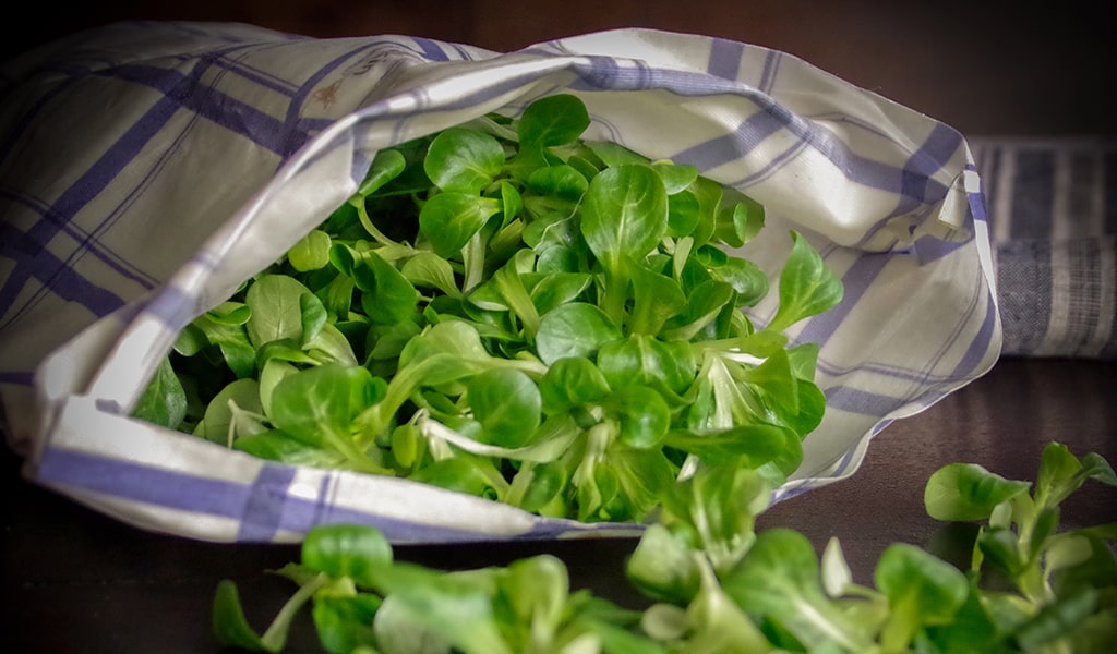 field salat packed in a beeswax bag kitchen design