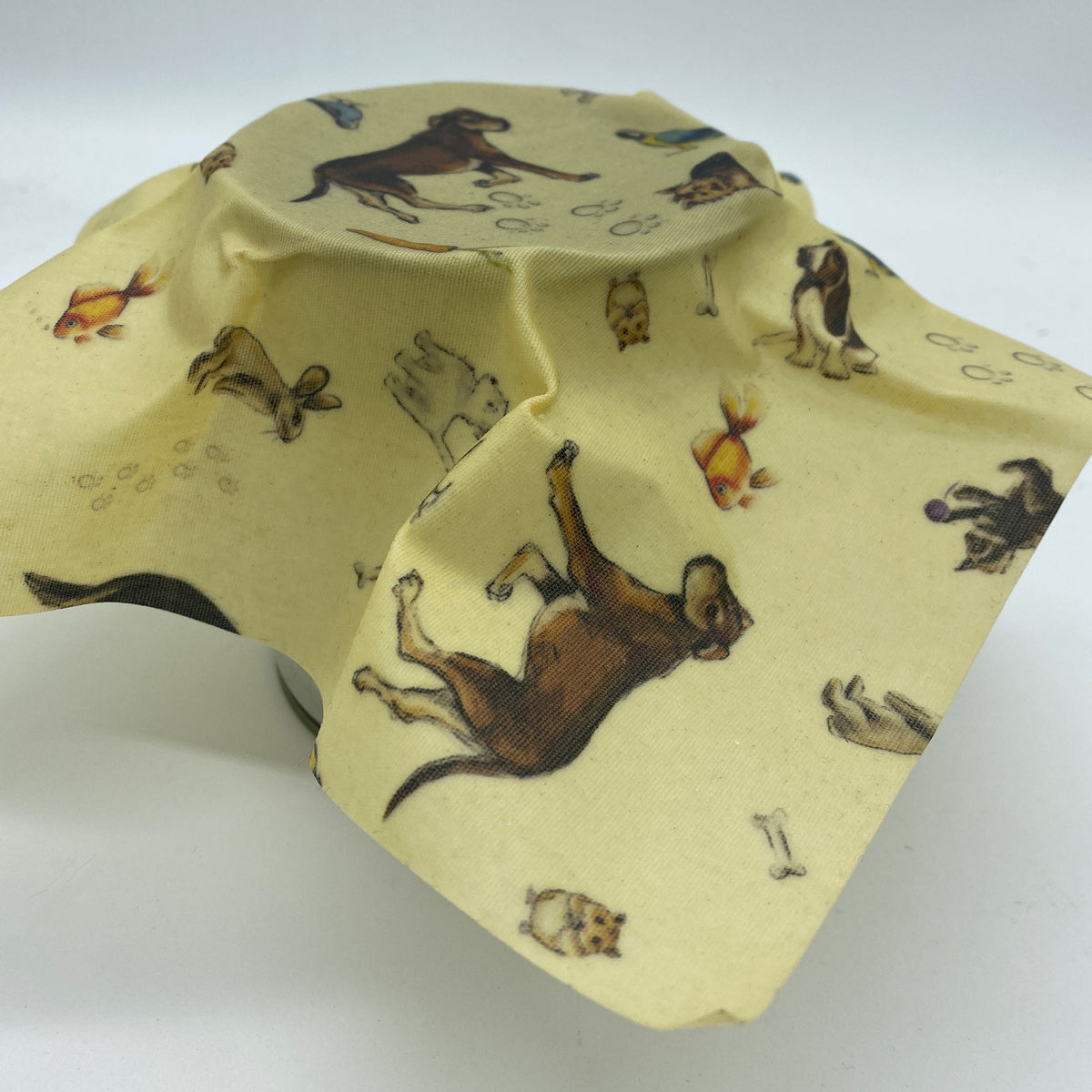a can covered with beeskin pets bruno