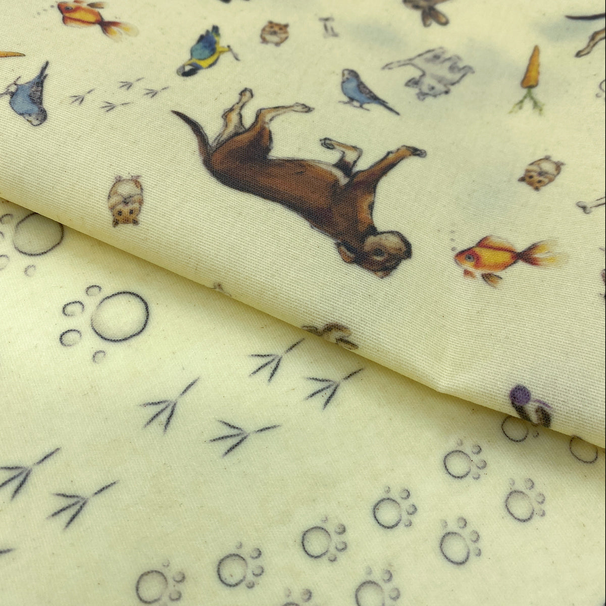 detail pets design Bruno and paws