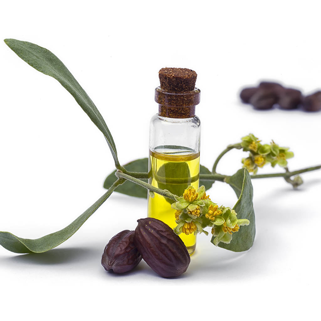 Bottle Jojoba Oil and Jojoba blossom
