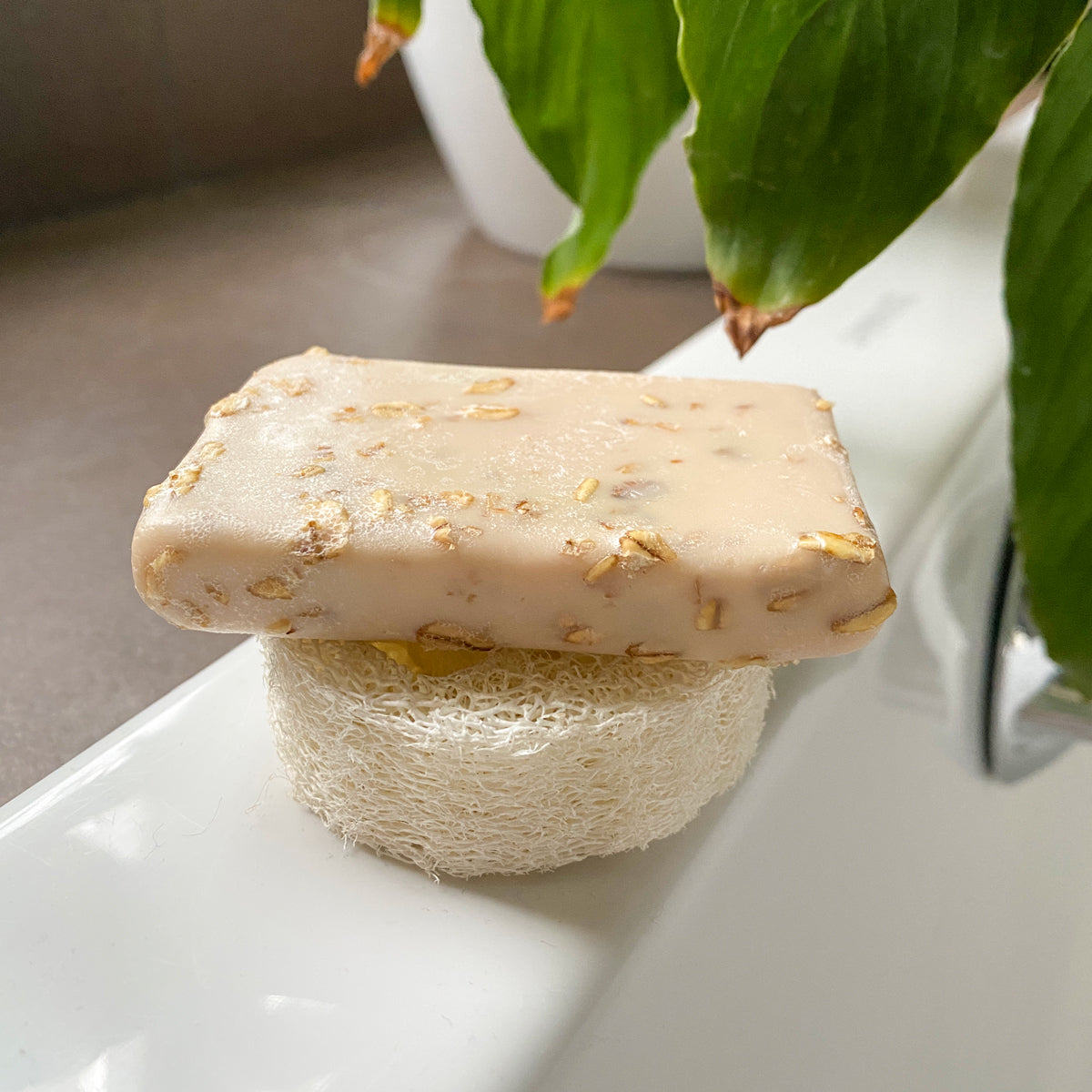 piece of soap on loofah 04 to stay dry