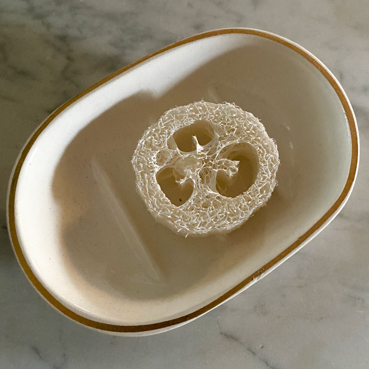 beeskin loofah 04 lies in a soap dish