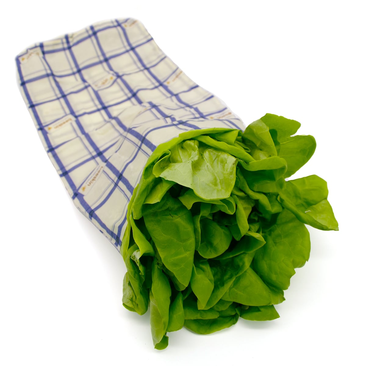 beeskin size L kitchen towel design with salat