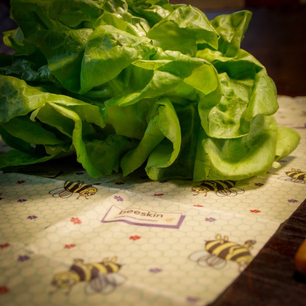 green salad lying onbeeskin beeswax wrap xl kids